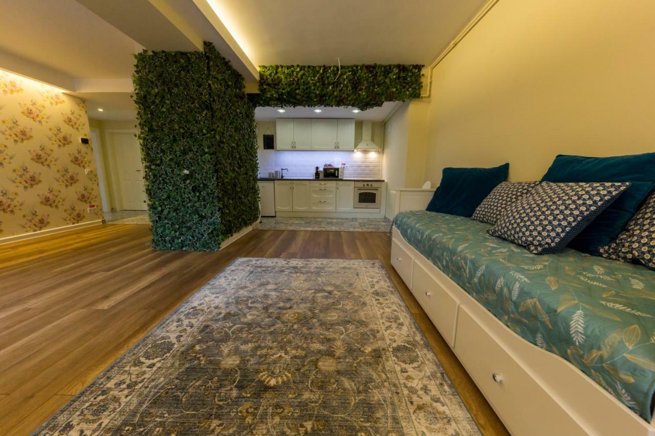 Carol Apartment Sinaia